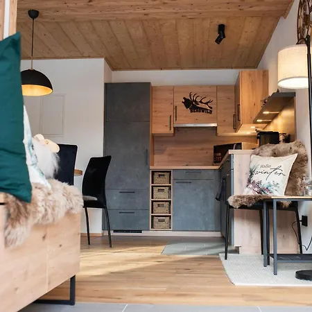Apartment Bergwild *