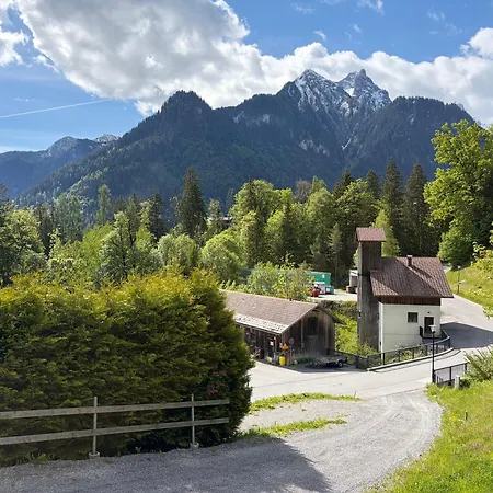 Bergwild
